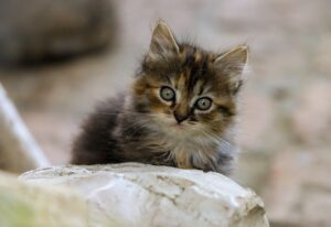 2回目の転職を成功させるためのポイントは？