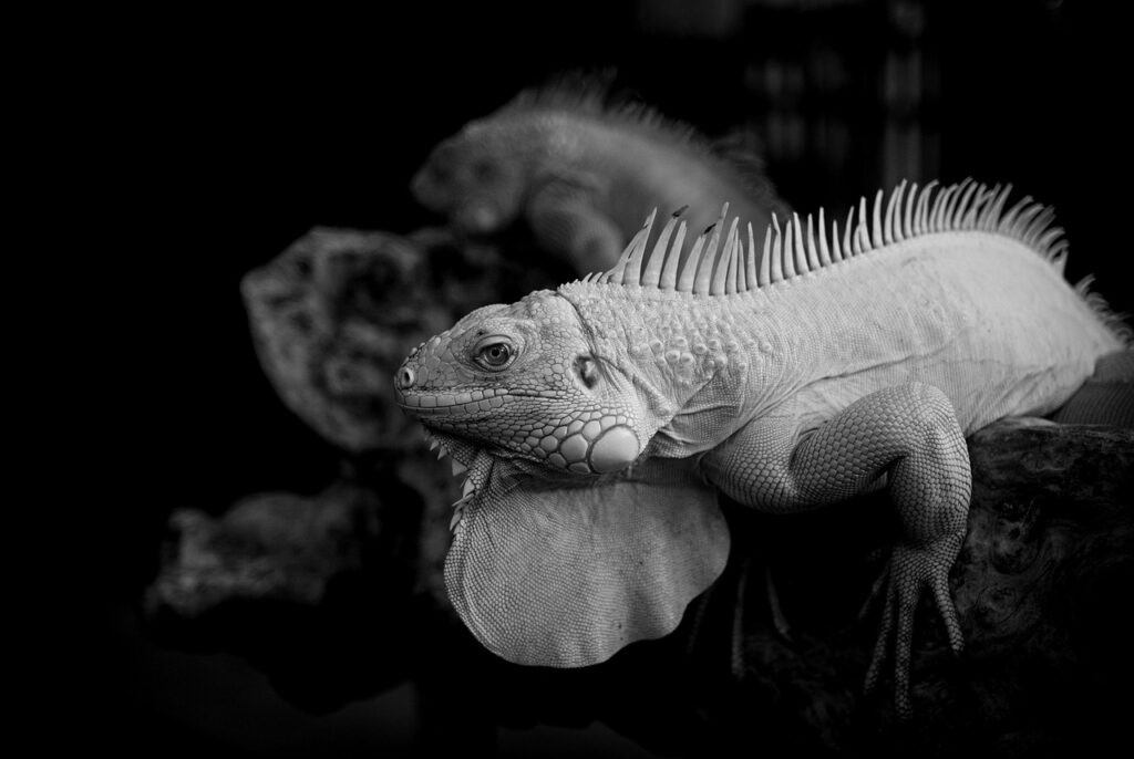 人事異動とはどのようなプロセスで行われるのか？