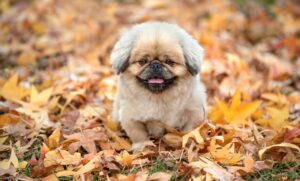 人事異動の理由にはどのような例があるのか？