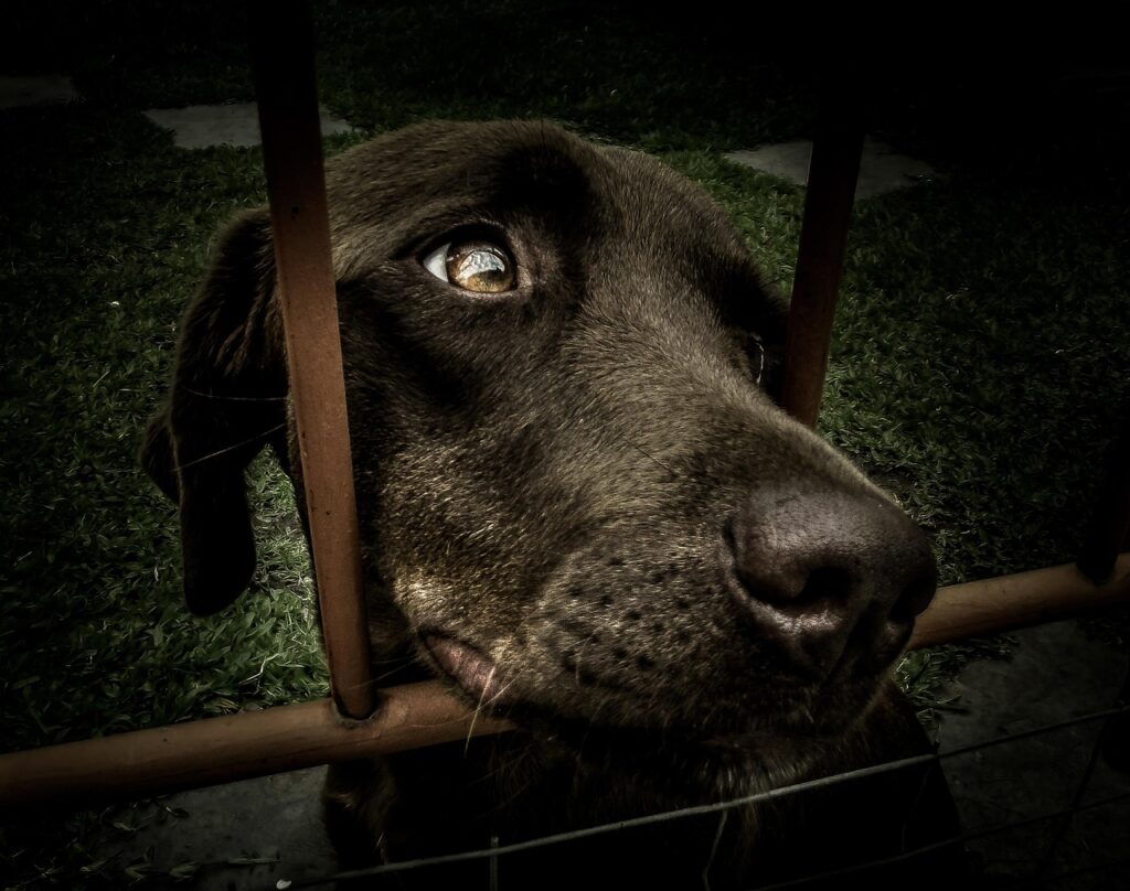 第二新卒の採用条件はどのようなものですか？