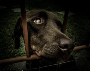 第二新卒の採用条件はどのようなものですか？