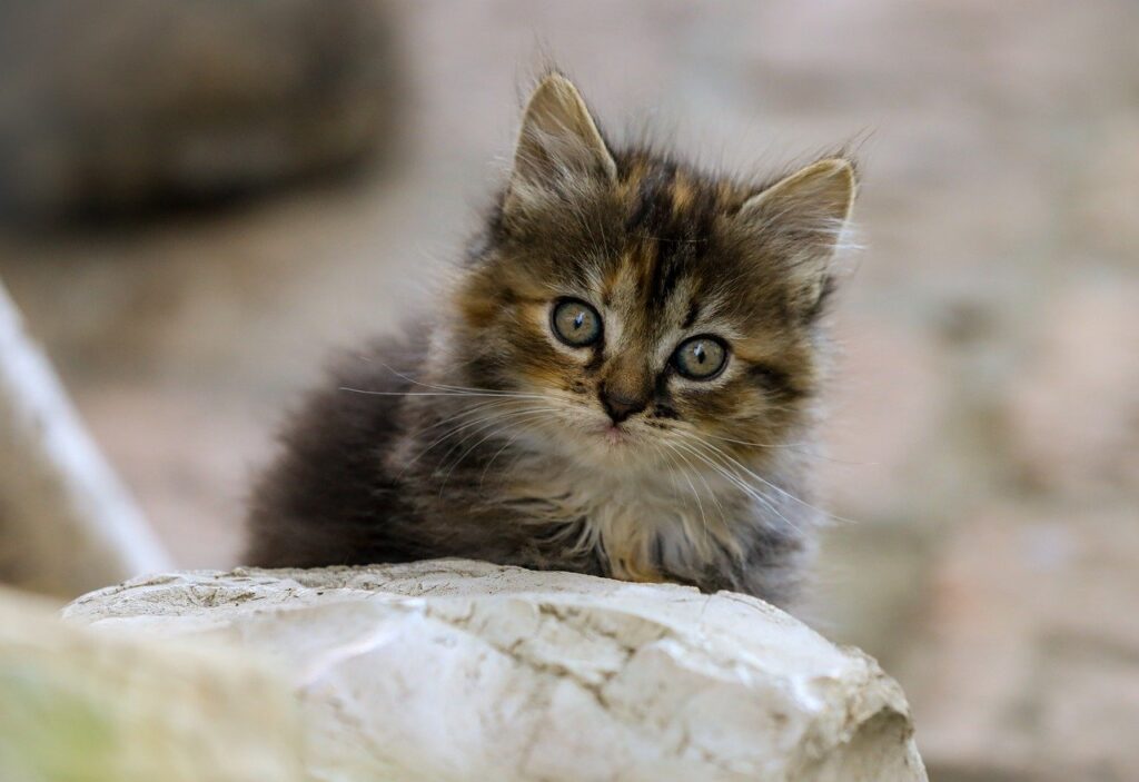 2回目の転職を成功させるためのポイントは？