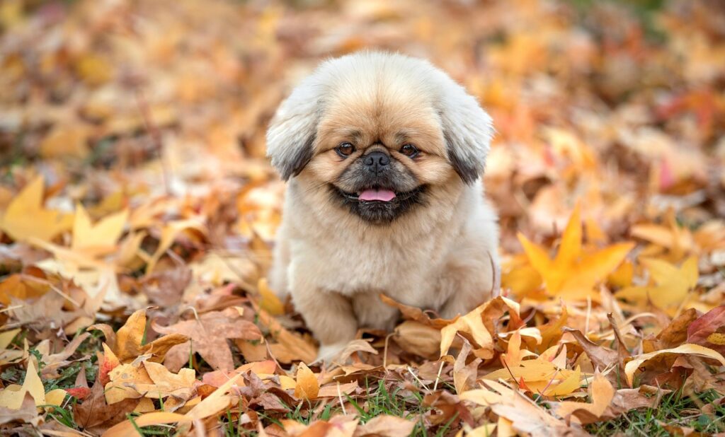 上司のパワハラに悩んだ時の相談先はどこですか？