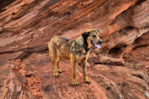 転職に迷ってる時の相談先はどこですか？