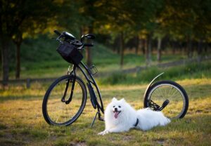 転職をすぐに辞めないためのコツは？