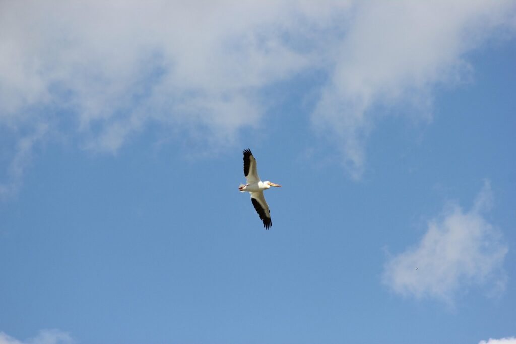 仕事を辞めたいけど今すぐどうすればいいの？