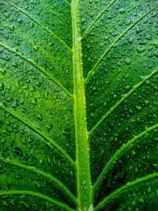 仕事を続けるべきか迷うときの判断基準は？