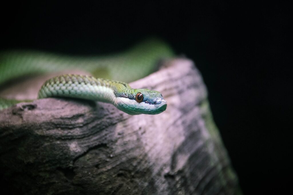 辞めるべきか続けるべきか、あなたの選択を診断しますか？