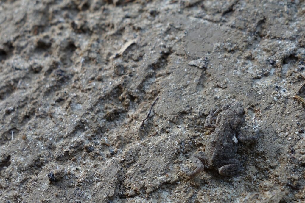 将来が見えない仕事をどう乗り越えるべきか？