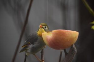 仕事を辞めるか続けるかを考える際に何を見るべきか？